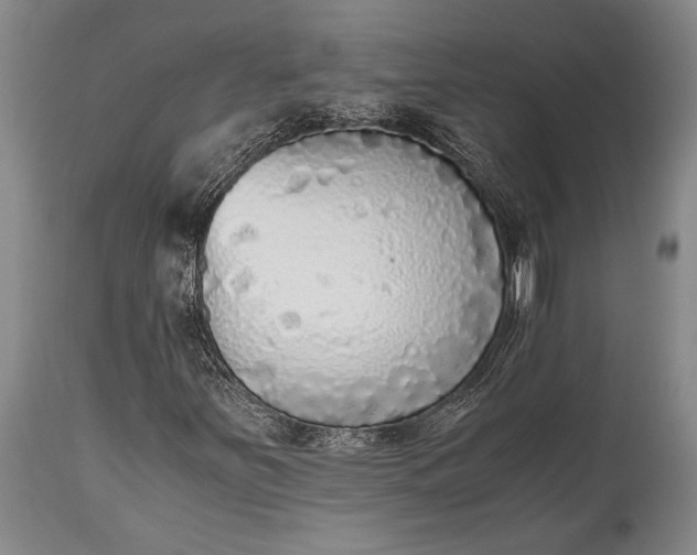 X0000115441251200911181516
