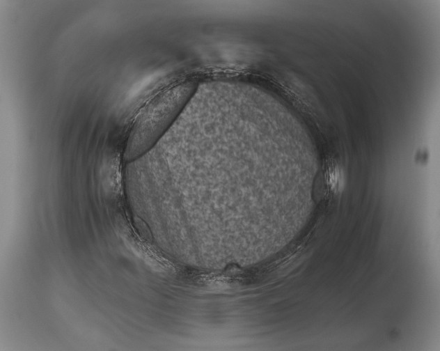 X0000115441252200911181516