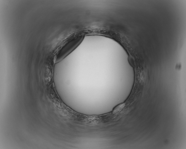 X0000115441253200911181516