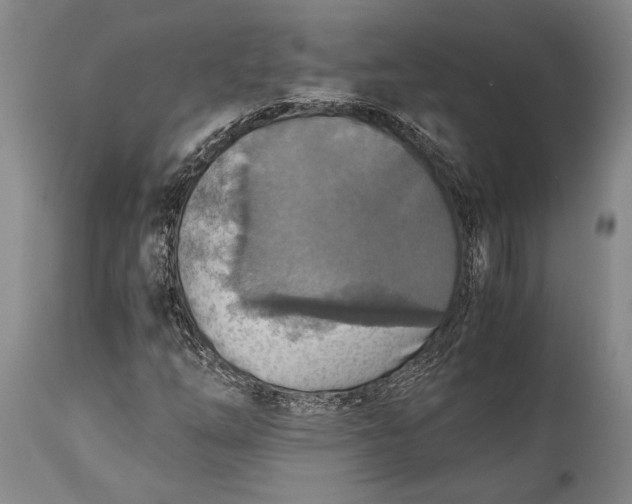 X0000115441254200911181516