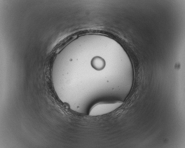 X0000115441255200911181516