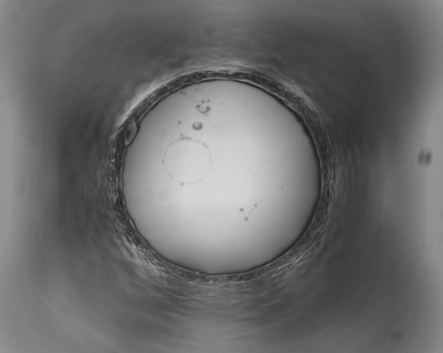 X0000115441256200911181516