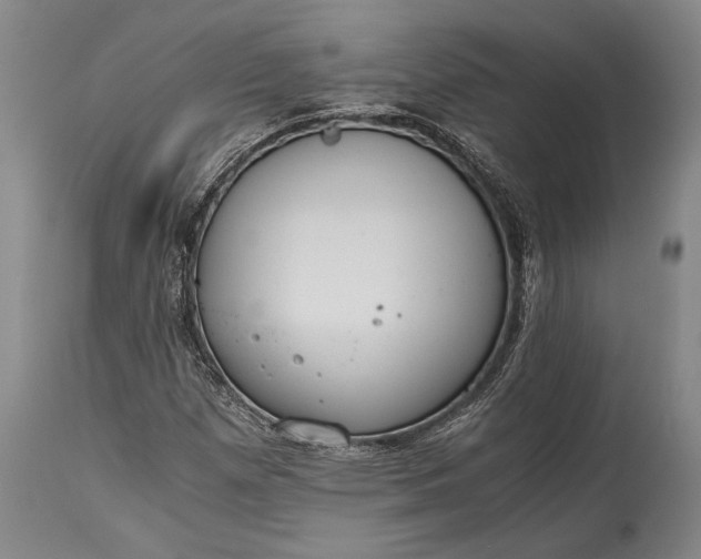 X0000115441257200911181515