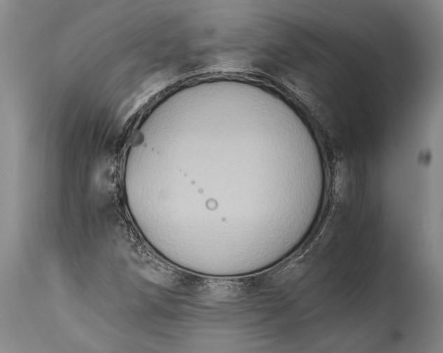 X0000115441258200911181515