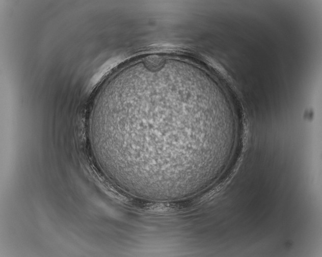 X0000115441259200911181515