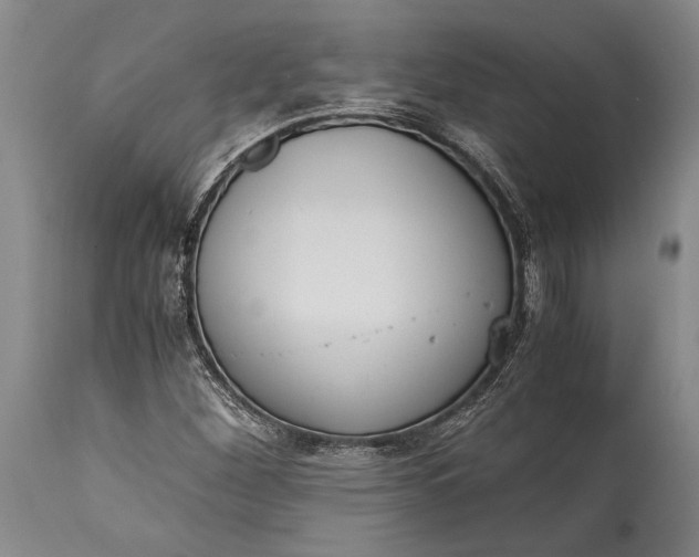 X0000115441260200911181515