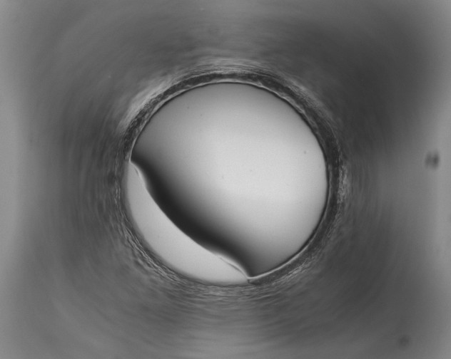 X0000115441261200911181515