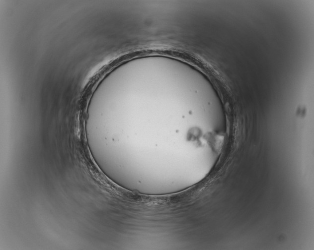 X0000115441262200911181515
