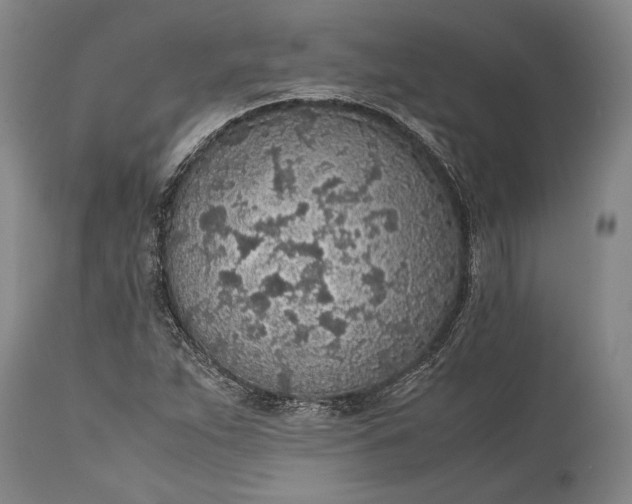 X0000115441263200911181515