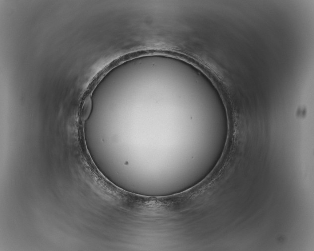 X0000115441264200911181515