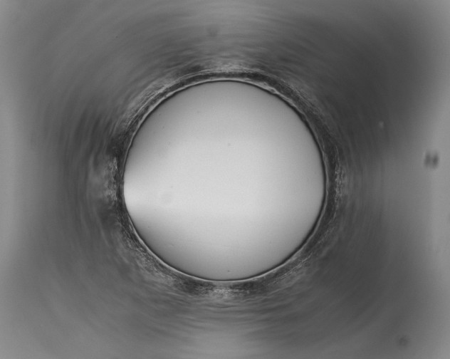 X0000115441265200911181515