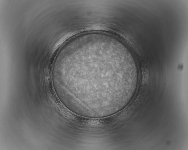 X0000115441266200911181515