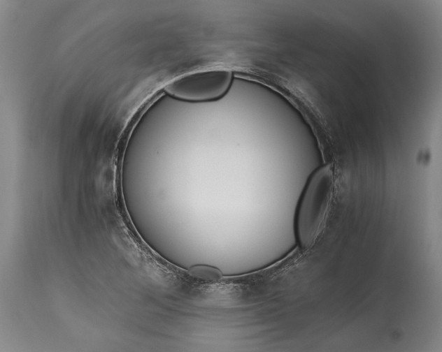 X0000115441268200911181515