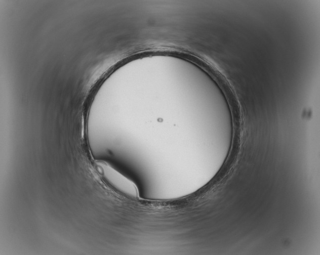 X0000115441269200911181515