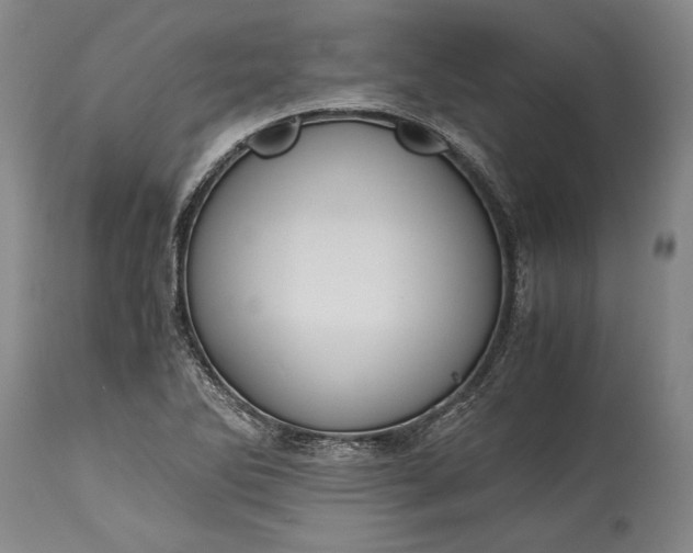 X0000115441270200911181515