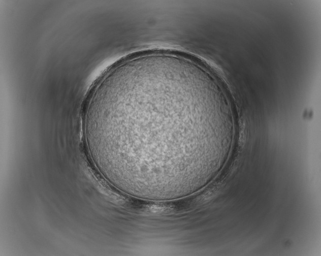 X0000115441271200911181515