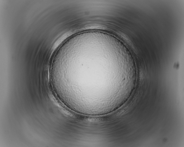 X0000115441274200911181515