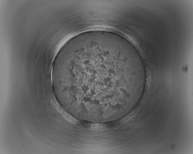 X0000115441275200911181515