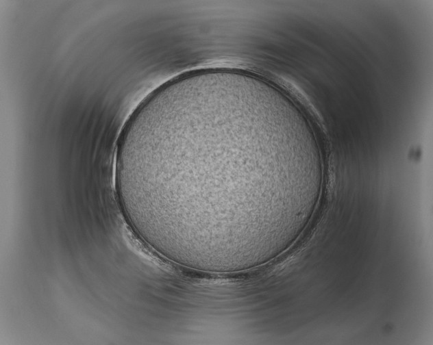 X0000115441276200911181515