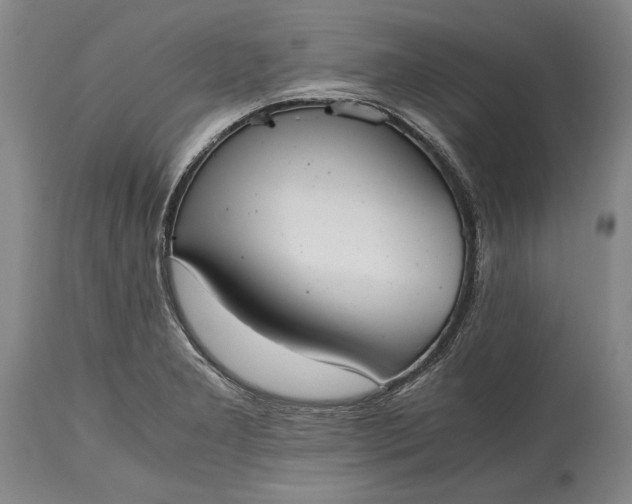 X0000115441277200911181515