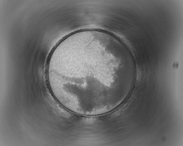 X0000115441278200911181515