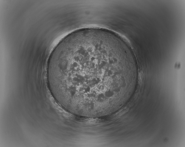 X0000115441279200911181515