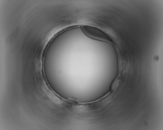 X0000115441280200911181515