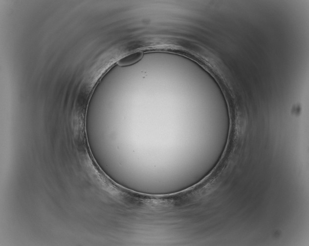 X0000115441281200911181515