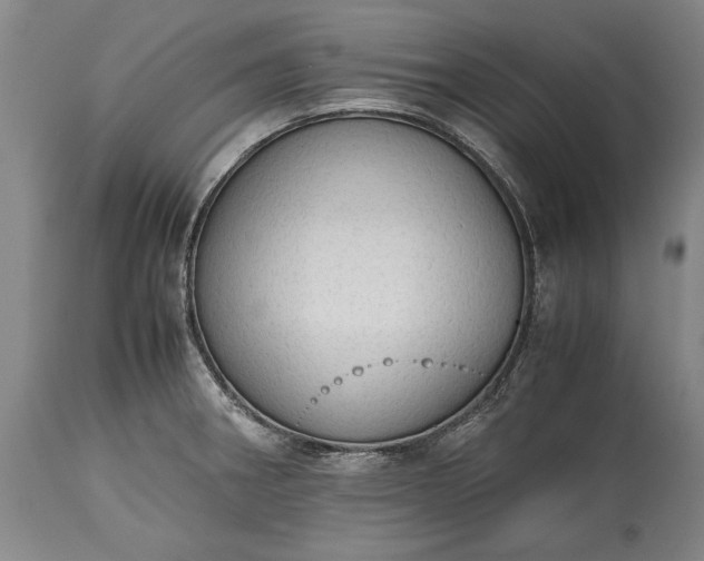 X0000115441282200911181515