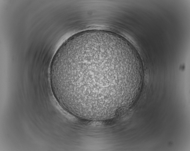X0000115441283200911181515