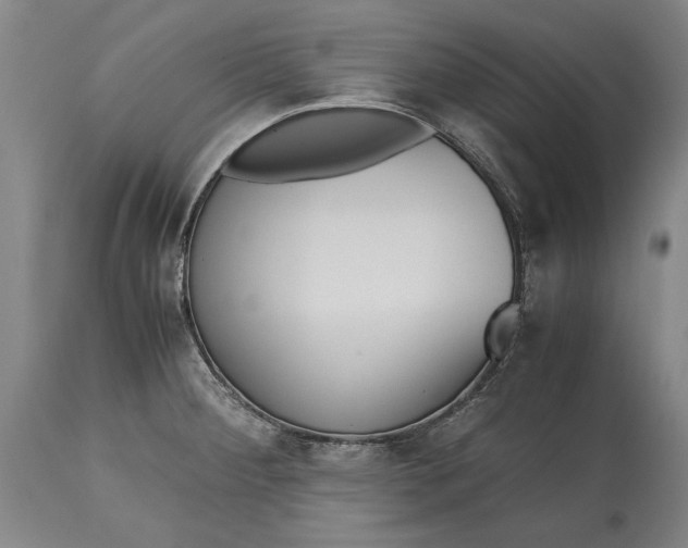X0000115441284200911181515