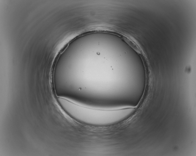 X0000115441285200911181515