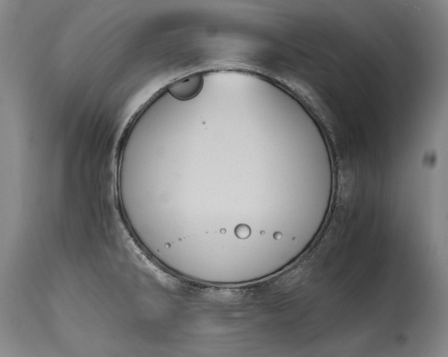 X0000115441286200911181515