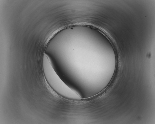 X0000115441289200911181515