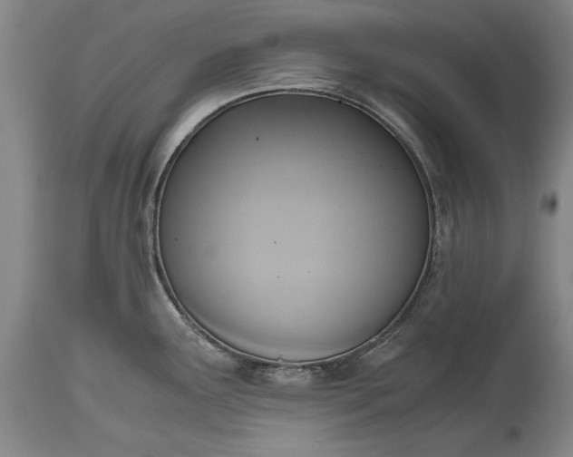 X0000115441291200911181515