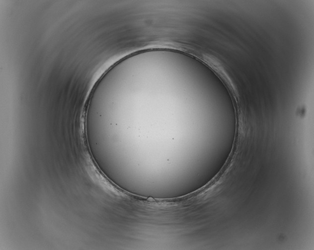 X0000115441292200911181515
