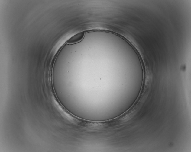 X0000115441293200911181515