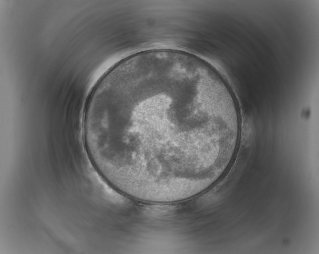 X0000115441294200911181515