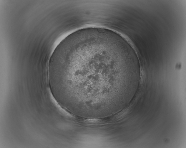 X0000115441295200911181515