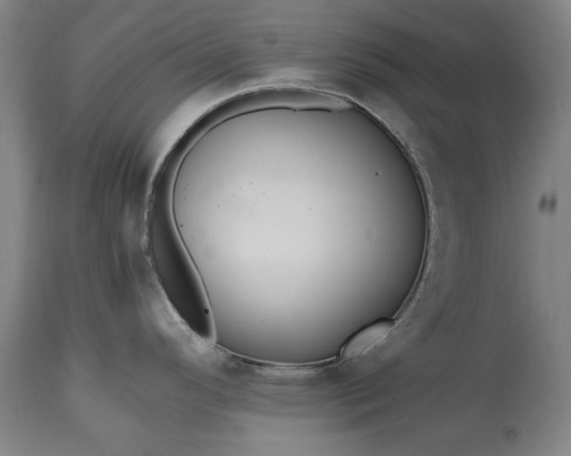 X0000115441296200911181515