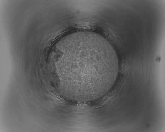 X0000115441297200911181514