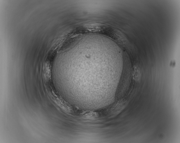 X0000115441298200911181514