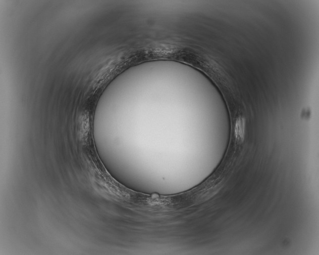 X0000115441299200911181514