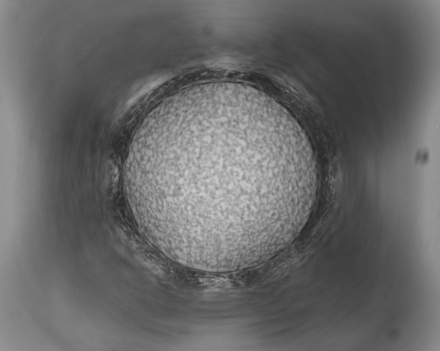 X0000115441302200911181514