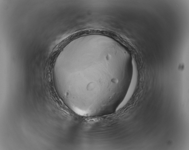 X0000115441303200911181514