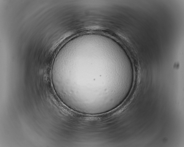 X0000115441305200911181514