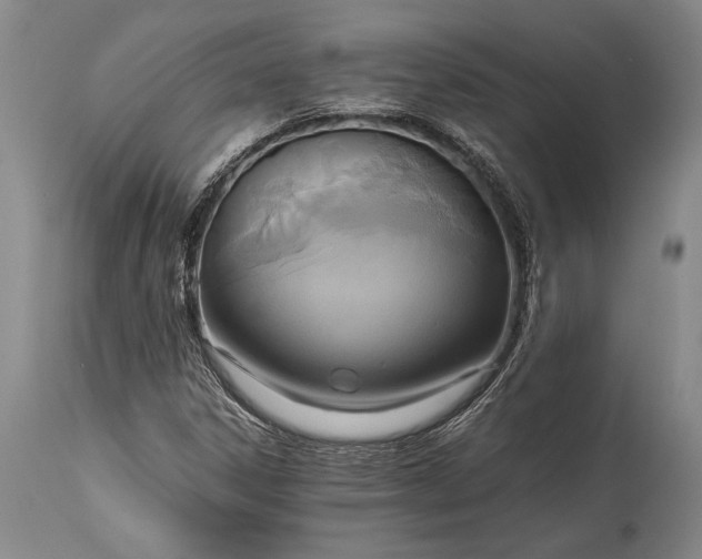 X0000115441306200911181514