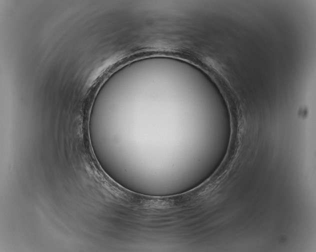 X0000115441307200911181514