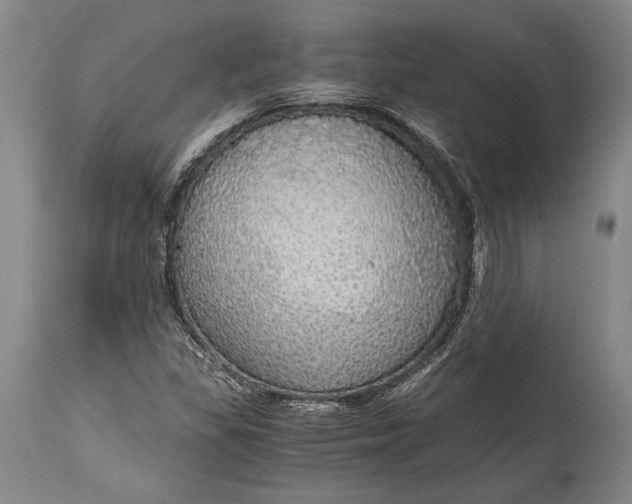 X0000115441309200911181514