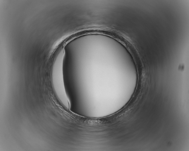 X0000115441310200911181514